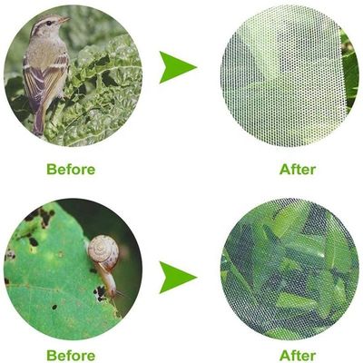 Сельское хозяйство HDPE Пластиковая сетка для защиты от насекомых