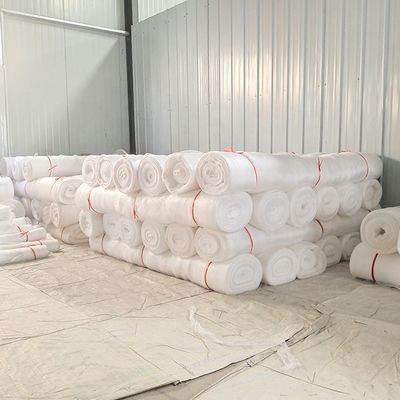 2.5x6m/2.5x10m Растительные культуры Защитная сетка Фрукты овощи Уход за покрытием Насекомые садовая сетка Борьба с вредителями Противопиточная сетка Сетка Никакой аромат