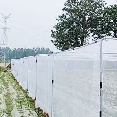 Прозрачная сеть 20x10 для борьбы с клещами для сельского хозяйства и тени