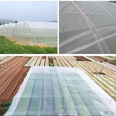 Прозрачная сеть 20x10 для борьбы с клещами для сельского хозяйства и тени