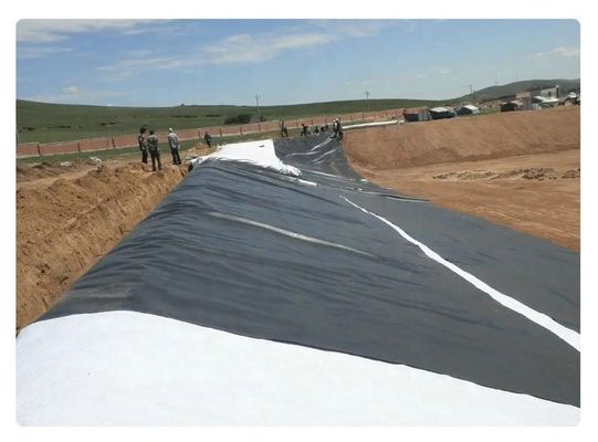 500 микрон HDPE водоемы плотины линейки для аквакультуры Водолазные плотины линейки пластиковые линейки Геомембраны Цены Рыбная ферма Установка