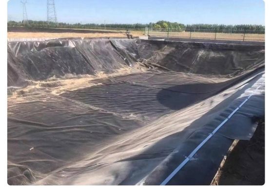 Геомембранный подкладка из ПВХ для горного хозяйства Водохранилище плотина Рыбный пруд Креветочная ферма