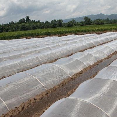 HDPE антиультрафиолетовые сетки для насекомых Идеальное решение для защиты плодовых деревьев