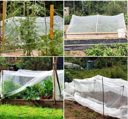 HDPE антиультрафиолетовые сетки для насекомых Идеальное решение для защиты плодовых деревьев