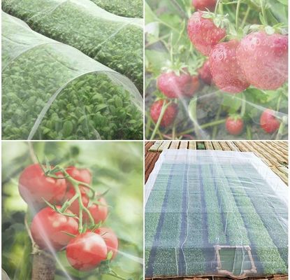 HDPE антиультрафиолетовые сетки для насекомых Идеальное решение для защиты плодовых деревьев