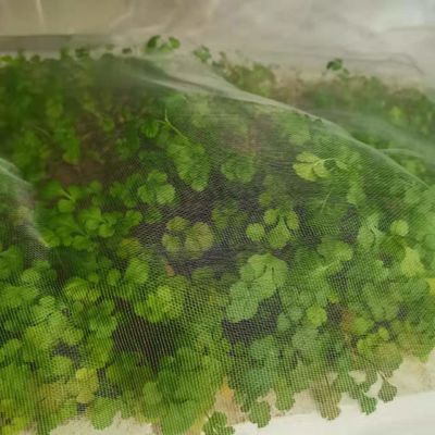 ПЛАСТИЧЕСКИЕ ПЛАСТИЧЕСКИЕ СРЕДЕННЫЕ СРЕДЕНИЯ ПЛАНТЫ ПЛАСТИЧЕСКИЕ СРЕДЕННЫЕ СРЕДЕННЫЕ ПЛАСТИЧЕСКИЕ СРЕДЕННЫЕ СРЕДЕННЫЕ ПЛАСТИЧЕСКИЕ ПЛАСТИЧЕСКИЕ ПЛАСТИЧЕСКИЕ ПЛАСТИЧЕСКИЕ ПЛАСТИЧЕСКИЕ ПЛАСТИЧЕСКИЕ ПЛАСТИЧЕСКИЕ ПЛАСТИЧЕСКИЕ ПЛАСТИЧЕСКИЕ ПЛАСТИЧЕСКИЕ ПЛАСТИЧЕСКИЕ ПЛАСТИЧЕСКИЕ ПЛАСТИЧЕСКИЕ ПЛАСТИЧЕСКИ