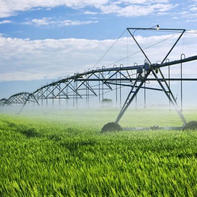 Max Choice Farms Center Pivot Irrigation System for 2025 Современная металлическая очистка Теплая тренировочная поверхность Тип сверху