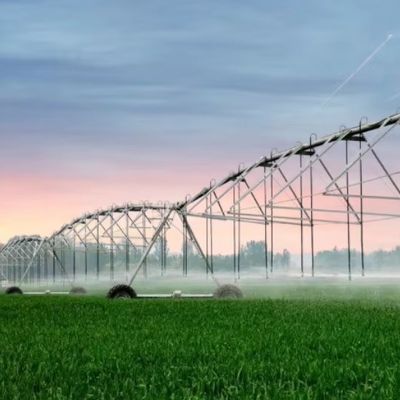 Центр водосбережения Пивовое поливное распыление для ресторанного сельского хозяйства