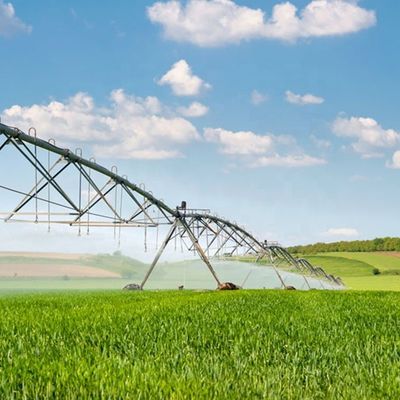 Продажа ирригационной системы Цифровой центр поворотной линейной боковой пшеничной ирригационной машины Моторная коробка передач Подшипник для крупных ферм